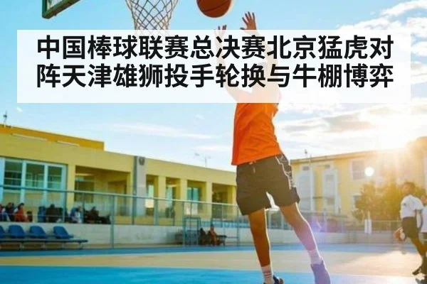 中国棒球联赛总决赛北京猛虎对阵天津雄狮投手轮换与牛棚博弈（c7c7.app）