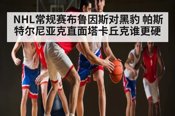 NHL常规赛布鲁因斯对黑豹 帕斯特尔尼亚克直面塔卡丘克谁更硬（c7）