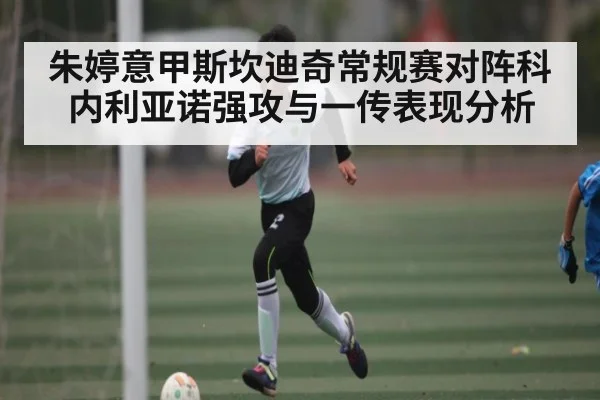 朱婷意甲斯坎迪奇常规赛对阵科内利亚诺强攻与一传表现分析（c7）