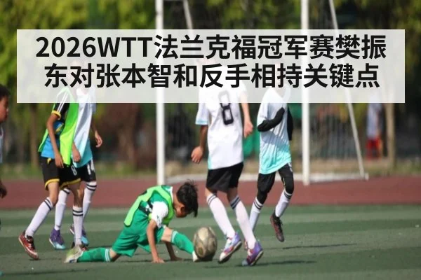 2026WTT法兰克福冠军赛樊振东对张本智和反手相持关键点（c7）